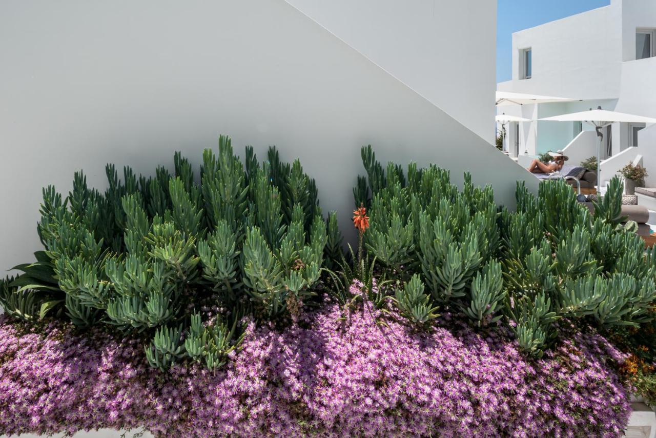 Akra Suites & Spa Imerovigli  Exteriör bild