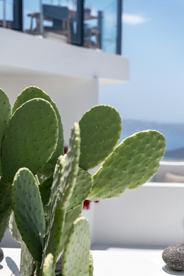 Akra Suites & Spa Imerovigli  Exteriör bild